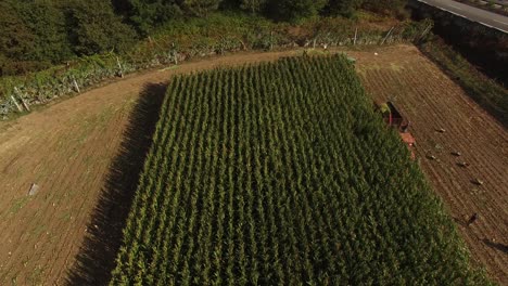 Tractor-En-La-Vista-Del-Campo-De-La-Granja-Agrícola-Desde-El-Dron