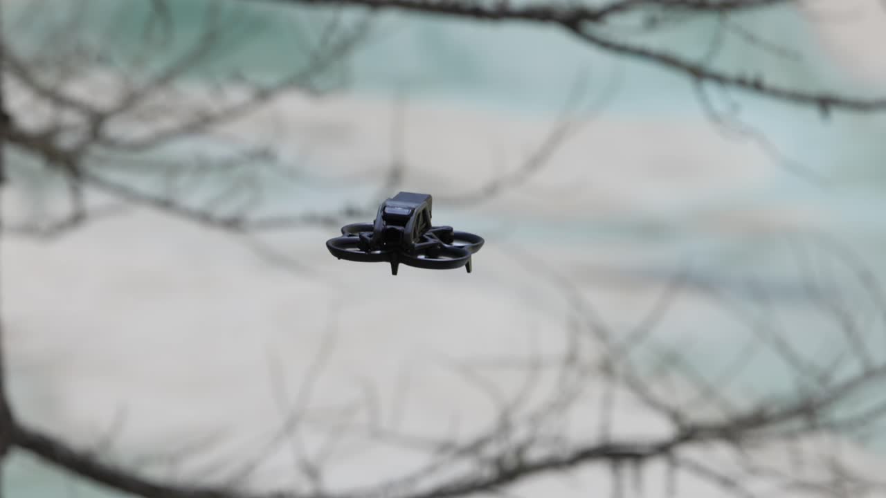 검은색 드터 드론이 공중에서 날아다니며 배경에는 흐릿한 나무가 있습니다.