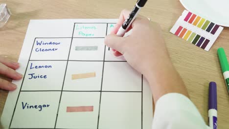 testing acidity and basicity of common household items