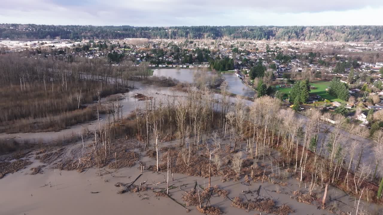 Acqua di piena fangosa che ricopre alberi e terreni mentre un fiume esonda, con una città visibile sullo sfondo a Pacific, Washington, USA