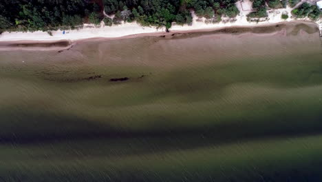 Aerial-bird's-eye-view-of-a-wonderful-lake-shore-of-with-brown-soil-visible-through-transparent-water-from-above-at-daytime