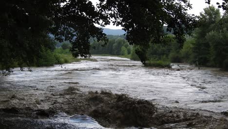 Small-river-formed-in-the-forest-after-the-rain,-making-its-way-through-the-trees