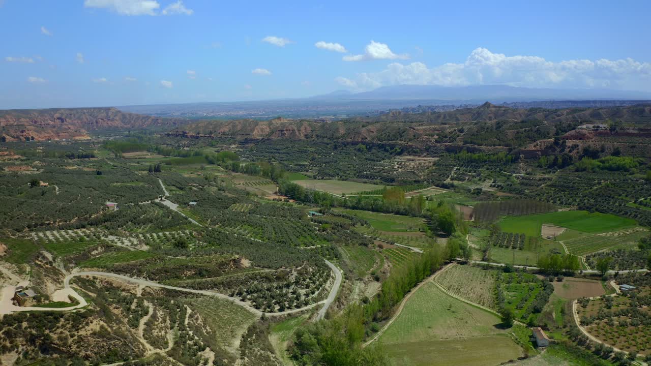 campos verdes y exuberantes en un valle soleado