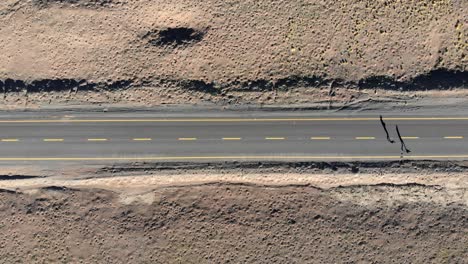 Aerial-top-view-of-two-travelers-walkin-in-a-desert-road-at-sunrise-in-Atacama