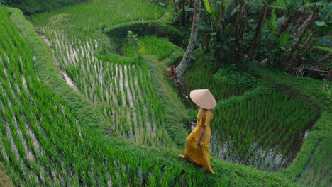 Mujer-Viajera-En-Un-Campo-De-Arroz-Vestida-De-Amarillo-Con-Sombrero-Explorando-Una-Exuberante-Terraza-De-Arroz-Verde-Caminando-En-Un-Paisaje-Cultural-Vacaciones-Exóticas-A-Través-De-Bali-Indonesia-Descubre-Asia