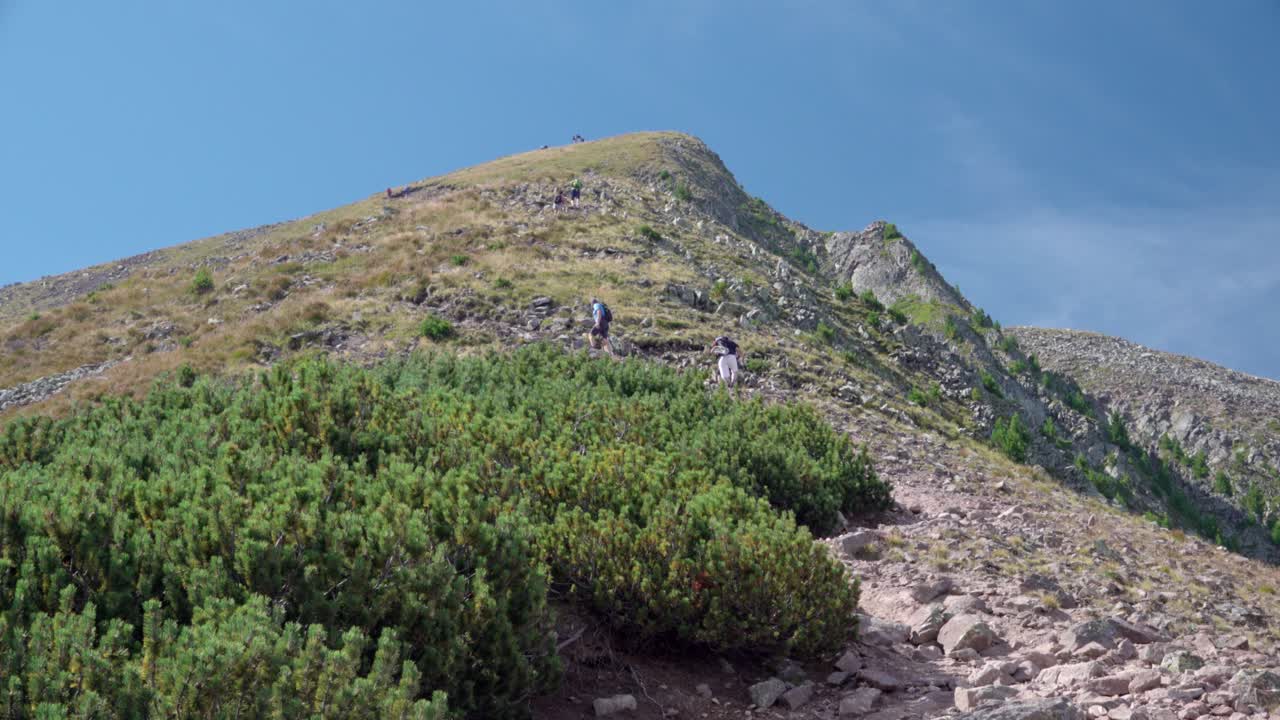 Hikers walking up towards Mount Schwarzhorn - Corno Nero on a nice and sunny summer's day, South Tyrol, Italy