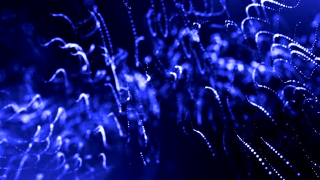 3d render of luminous particles as science fiction background or modern abstract blue background of particles with depth of field and bokeh like vj loop. particles form line and string structure. 6