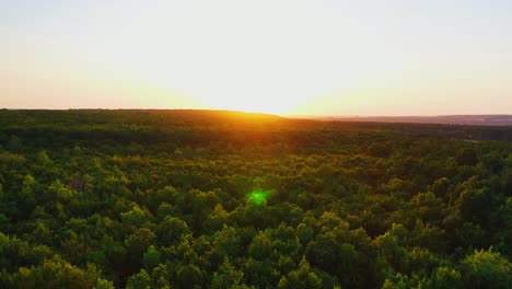 beautiful sunset over the woodland. orange sun reflects on dark green trees of the forest. amazing nature in the evening. aerial view.