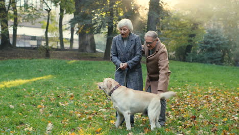 Pareja-De-Ancianos-De-Pie-En-El-Parque-Con-Un-Perro-Con-Correa-Al-Atardecer-En-Otoño