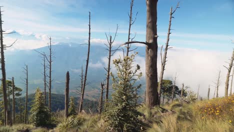 vista del volcán activo en guatemala movimiento panorámico por encima de las nubes