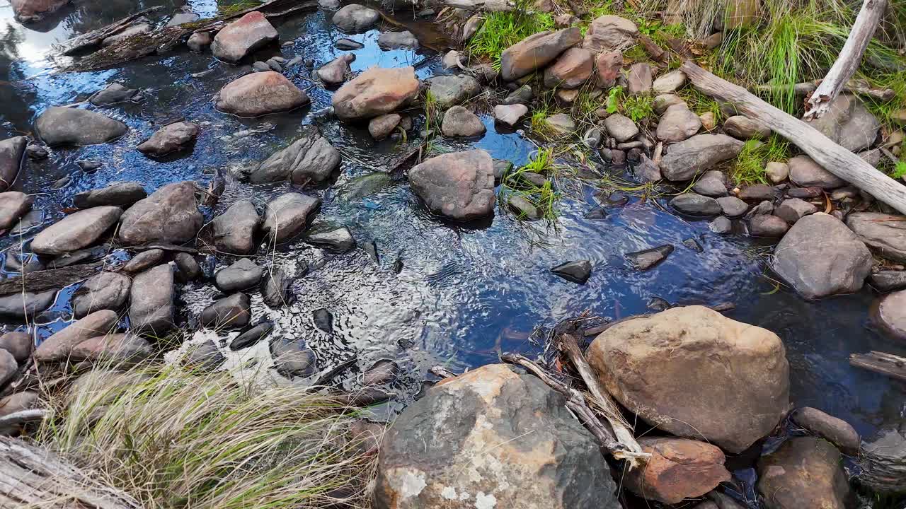 Statisk højvinkelbillede af en klar bæk, der strømmer over glatte sten i outbacken