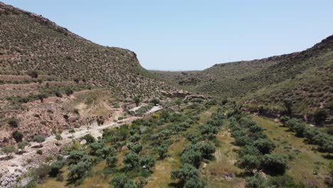 Fliegen-In-Einem-Tal-In-Der-Wüste-Von-Tabernas