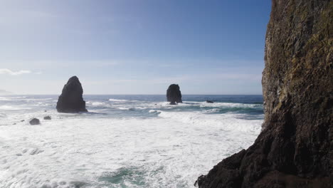 flight between rocks of haystack rock formation at cannon beach