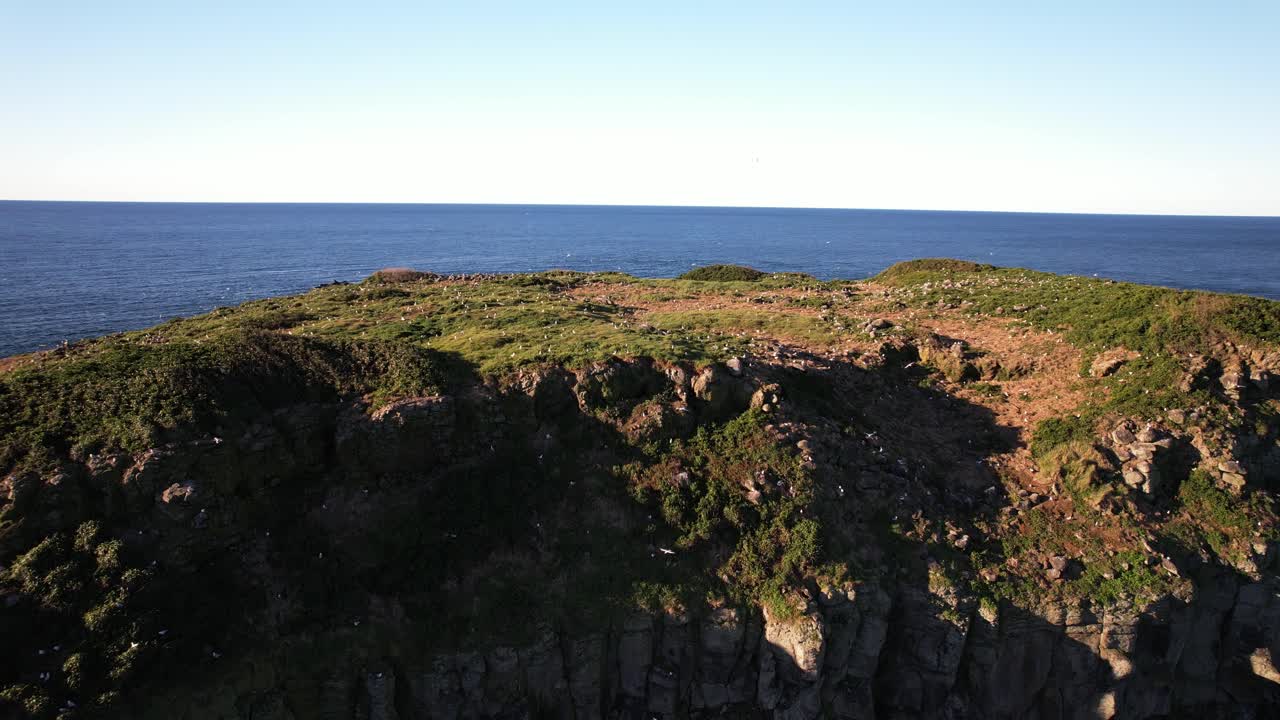 Rugged Landscape Of Cook Island In NSW, Australia - Drone Shot