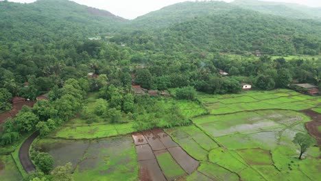 Staatsbus-Fährt-In-Der-Regenzeit-Durch-Den-Wald,-Drohnenansicht-In-Konkan