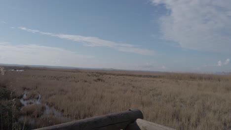 national park of the albufera of majorca