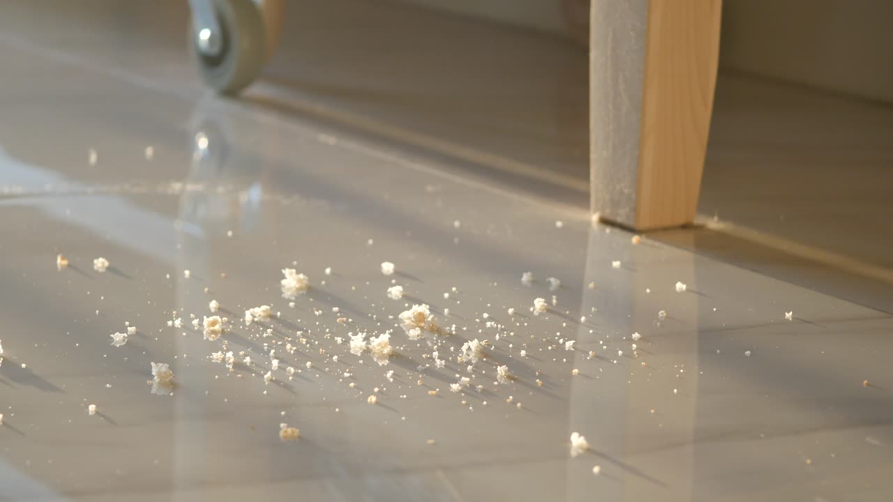 Crumbs on the floor