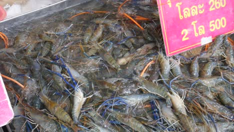 Viven-Enormes-Langostinos-De-Río-En-Un-Cubo-De-Agua-A-La-Venta-En-El-Mercado-De-Pescado-De-Tailandia