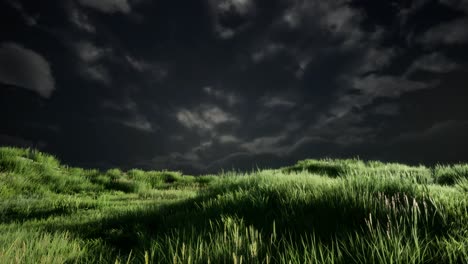 Gewitterwolken-über-Der-Wiese-Mit-Grünem-Gras