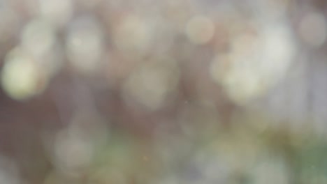 Abstract summer background with bokeh