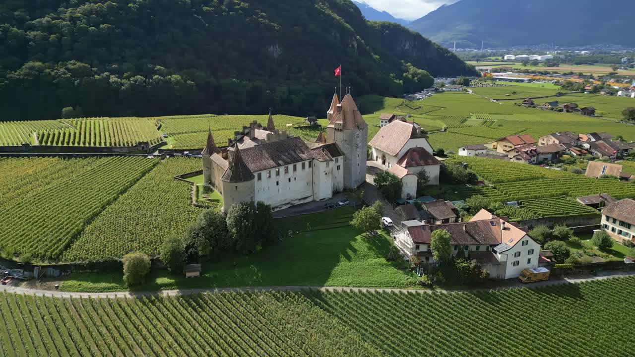 Aerial View of a Castle in a Swiss Vineyard