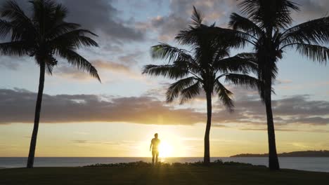 tourist walking towards sunset on tropical shore with silhouette coconut trees