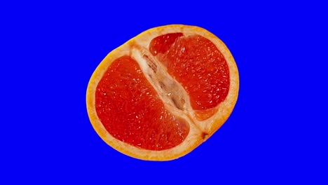 pomelo rojo cortado en dos sobre un fondo azul