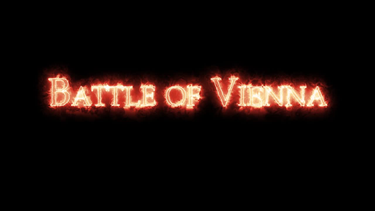 Battle of Vienna written with fire. Loop