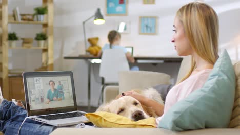 serious woman sitting on sofa and petting sick golden retriever dog while having consultation with online vet via video call on laptop