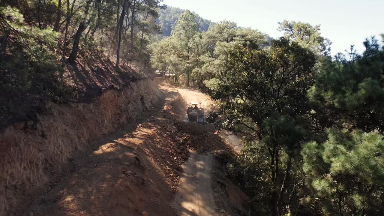 새로운 도로를 위해 숲을 개방하는 것