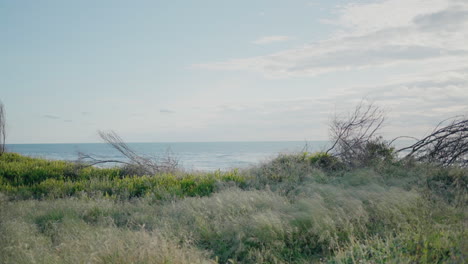 Üppige-Küstenvegetation-Mit-Meerblick-Unter-Einem-Teilweise-Bewölkten-Himmel-Am-Strand-Von-Ovar,-Portugal