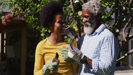Lächelndes-Afroamerikanisches-Paar-Bei-Der-Gartenarbeit-Im-Sonnigen-Garten-Und-Blick-Auf-Einen-Baumschnitt