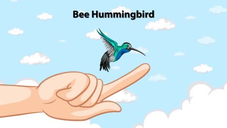 un colibrí animado volando sobre una mano estática.