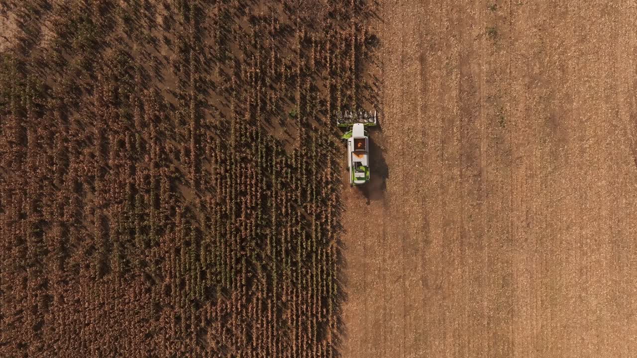 Splendida ripresa aerea della mietitura del grano a Steti, campi coltivati cechi.