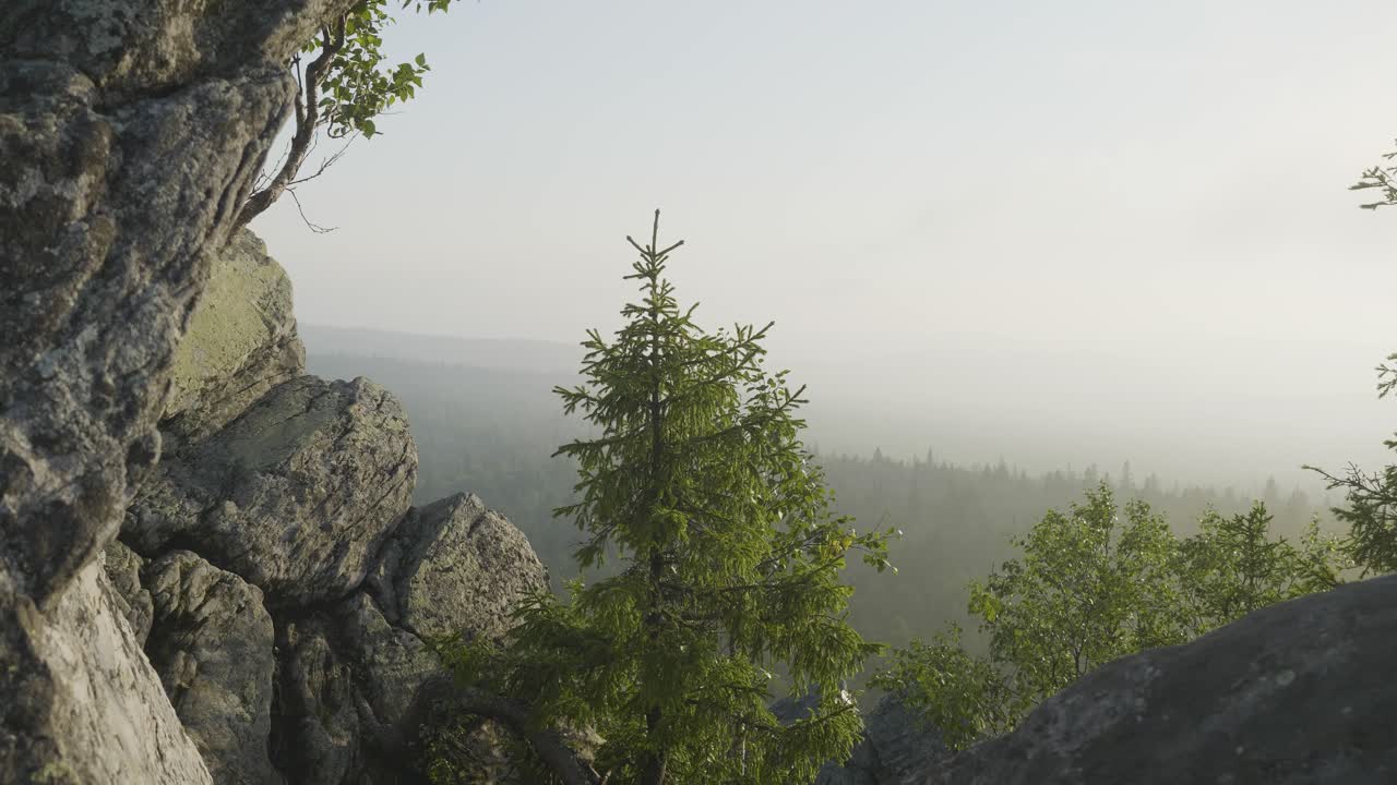 vista de la montaña brumosa desde la cima del acantilado