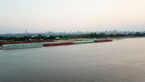 a bird flying above paraguayan river