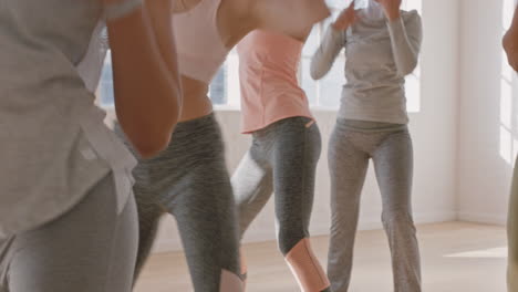 group of healthy women dancing enjoying dance routine choreography having fun in studio practicing moves