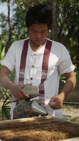 beekeeper working with a beehive