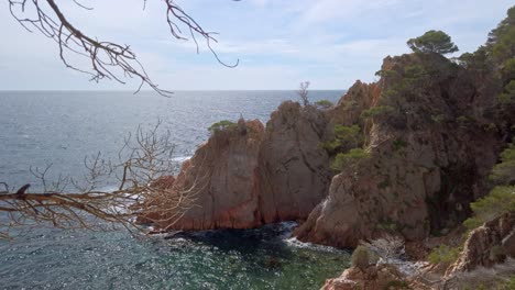 Travelling-over-rocks-and-crystal-clear-sea-on-the-Mediterranean-coast,-typical-pine-forest-landscape-on-the-Costa-Brava,-Catalonia