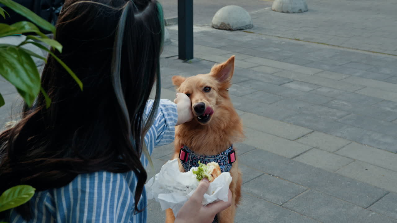 Girl Feeding a Dog a Sandwich on the Street