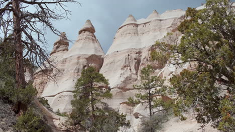 view through the trees kasha katuwe tent rocks national monument