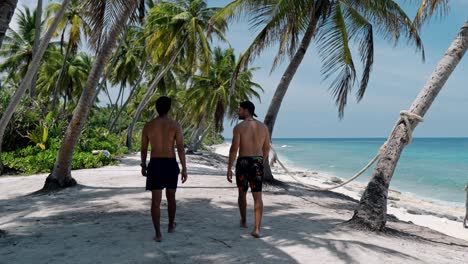 a serene scene unfolds as two friends stroll side by side along a pristine, palm-lined beach in fuvahmulah, maldives.