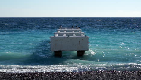 symmetric shot of an old jetty in a blue sea, seagulls flying by