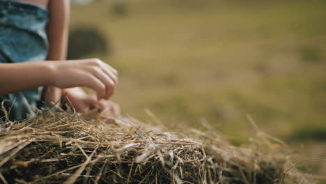 close-up of child hands playing with hay while sitting on hay bale in open field, sunlight highlights soft textures of dried grass, creating a warm and peaceful rural atmosphere