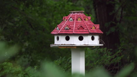 red and white wooden bird feeder house on a green forest