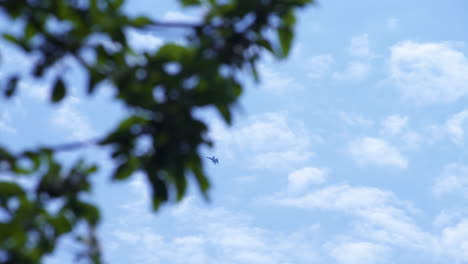 looking up at single fighter aircraft traveling in blue sunny sky day through green leaves of tree in foreground, handheld pan left