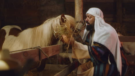 shepherd feeding a pony in a stable