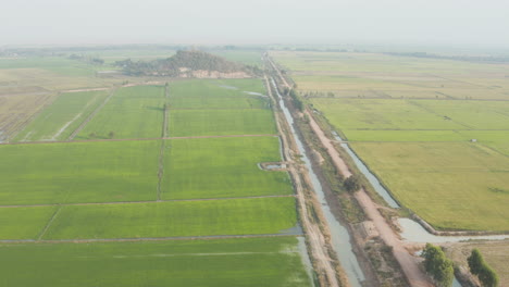 Hermosa-Vista-De-Pájaro-De-Las-Tierras-De-Cultivo-Irrigadas-En-Cambodia-Con-Una-Pequeña-Montaña