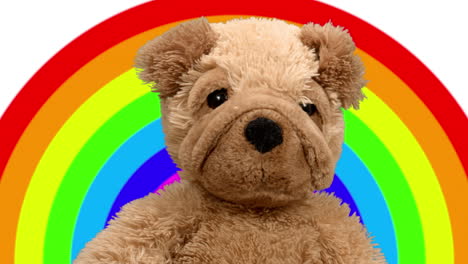 brown stuffed dog toy against a rainbow background