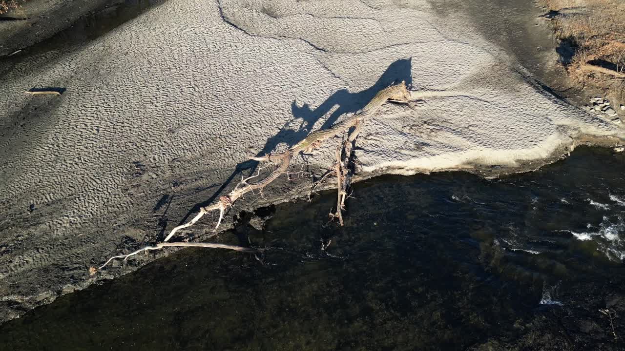 vista de la cabeza del avión no tripulado de un estanque y el flujo del río que está muy erosionado con un árbol caído